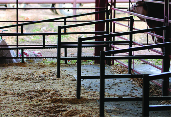 Shorty Stall Divider