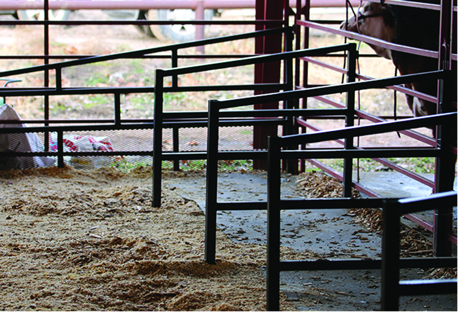 Shorty Stall Divider - Image 2