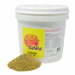 BIG WIG 10LB by Stock Show Secrets