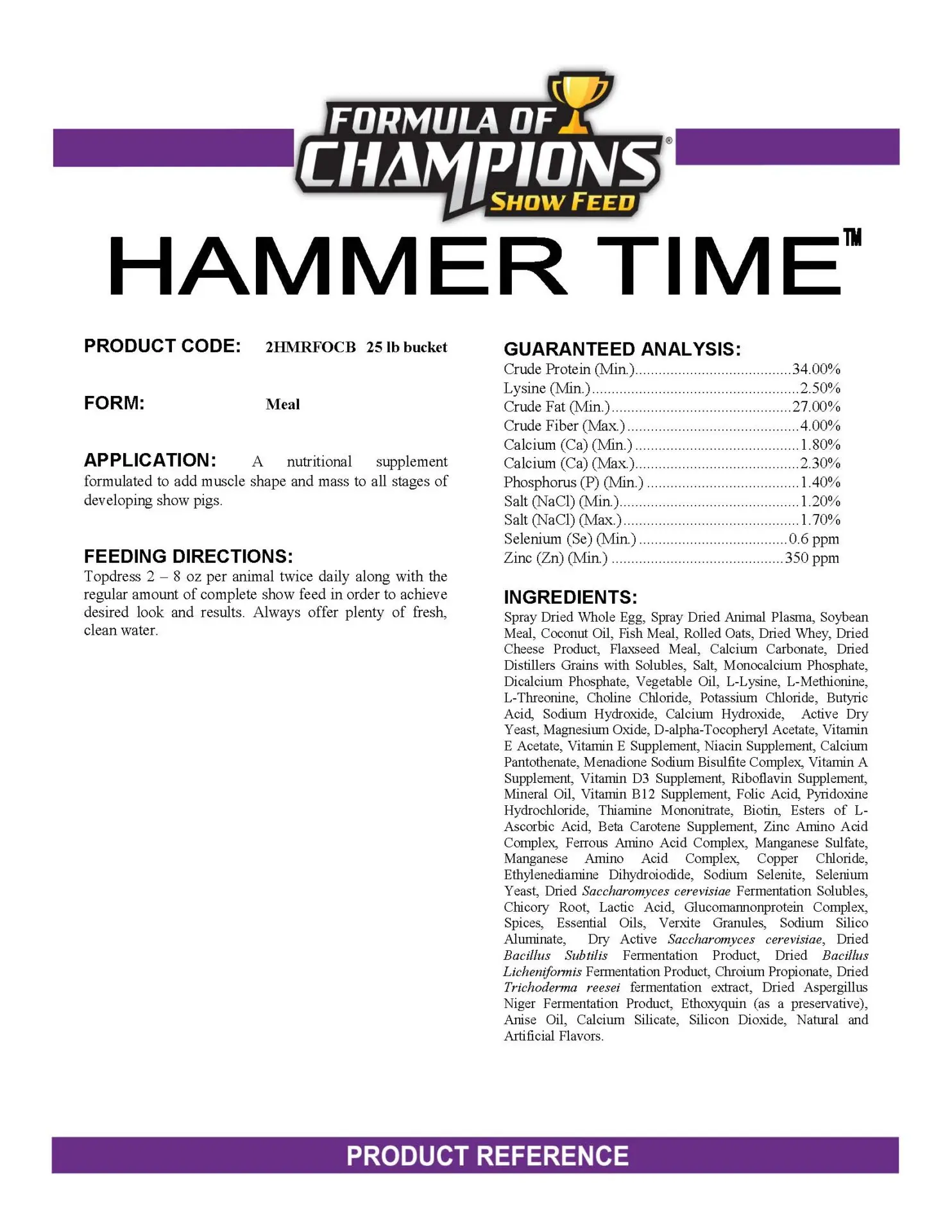 HAMMER TIME®, 25lb by Formula of Champions - Image 2