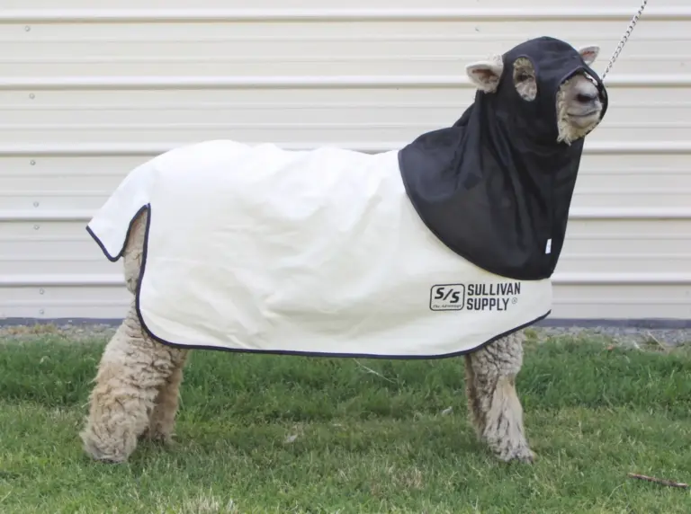 Air max hood - image 2