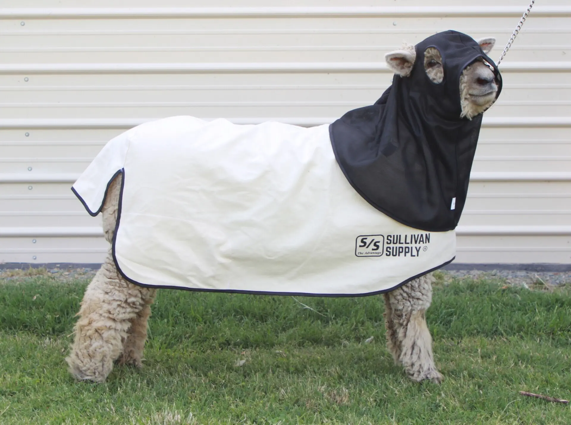 Air Max Hood - Image 2