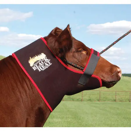 BLACK HEAT NECK SWEAT