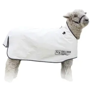 Canvas Sheep Blanket