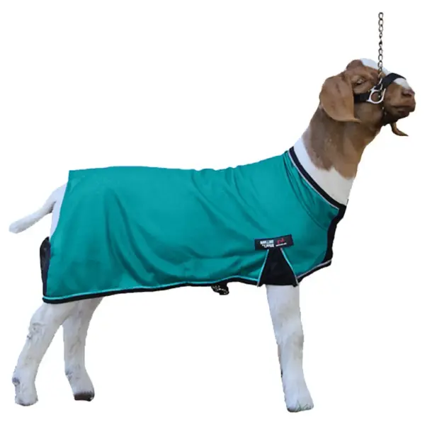 Cool tech goat blanket-