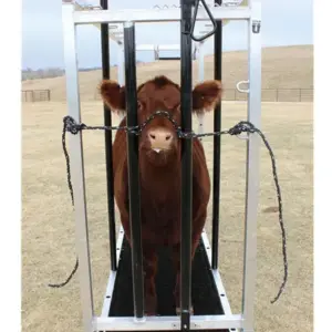 Double Lead Rope Halter