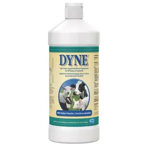 DYNE QUART