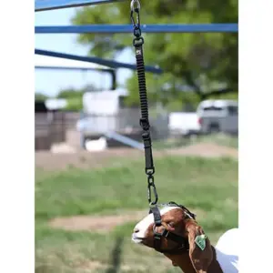 ELEVATE - HYBRID WALKING TIE