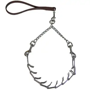 Full Blood Prong Collar