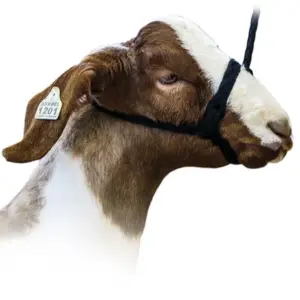 Hummel Flat Soft Braid Halter