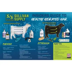 SSU LEARNING TOOLS POSTER