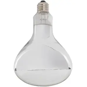 Heat Lamp Bulb 175w Smooth Glass (SET OF 2)