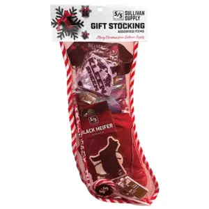 Holiday Gift Stocking