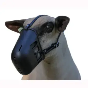 Heavy Plastic Sheep Muzzle