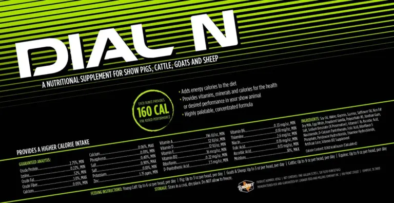 DIAL N by Lindner Show Feeds - Image 2