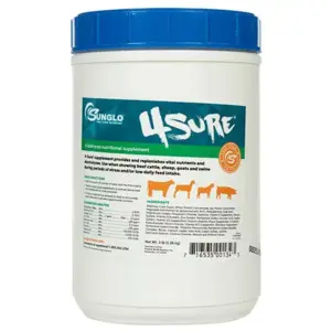 4SURE® 3lb Jar by Sunglo