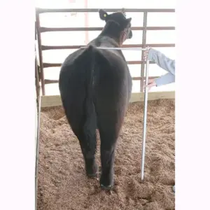 SULLIVAN'S MEASURING STICK