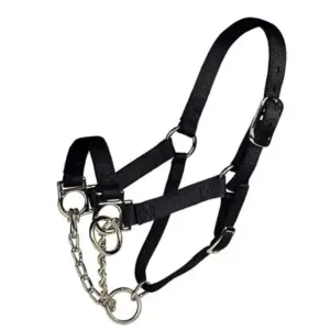 NYLON CONTROL HALTER