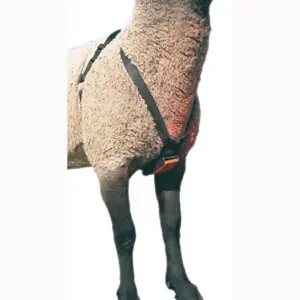 NYLON RAM MARKING HARNESS