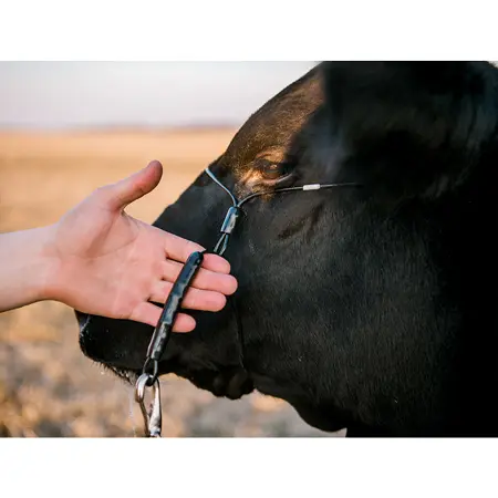 2.0 Phantom Cattle Cable Halter w/Ghost Grip - Image 2
