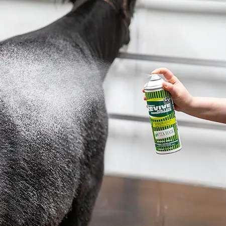 Revive, 17oz - Image 2