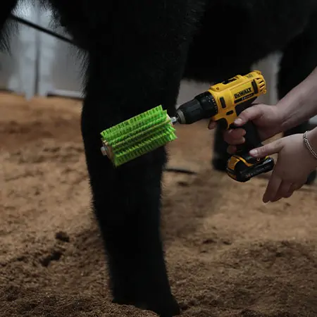 Roto Brushes - Image 3