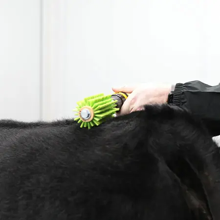 Roto Brushes - Image 2