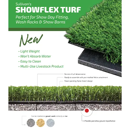 Show Flex Turf - Image 2