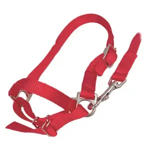 NYLON SHEEP HALTER RED