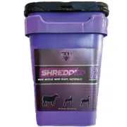 SHRR10 SHREDDED 2023 1.webp