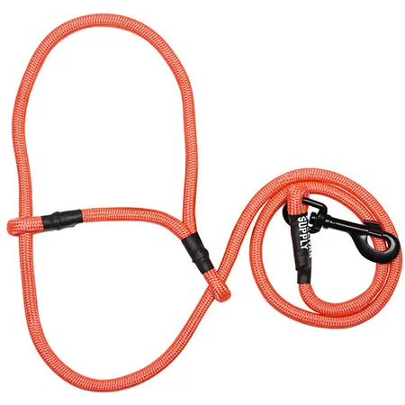 SHEEP & GOAT HALTER W SNAP LEAD - Image 8