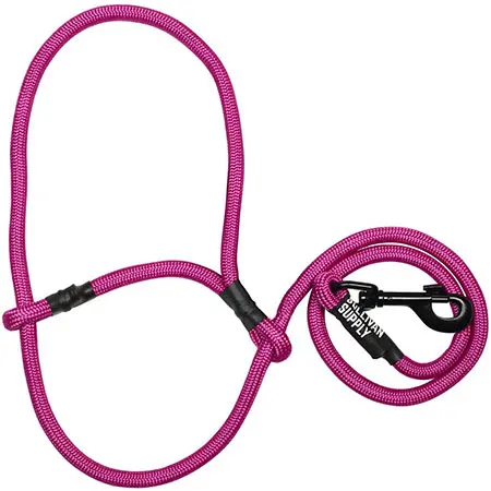 SHEEP & GOAT HALTER W SNAP LEAD - Image 11