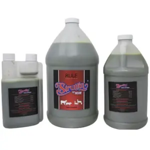 Struttin, 16oz by RULE