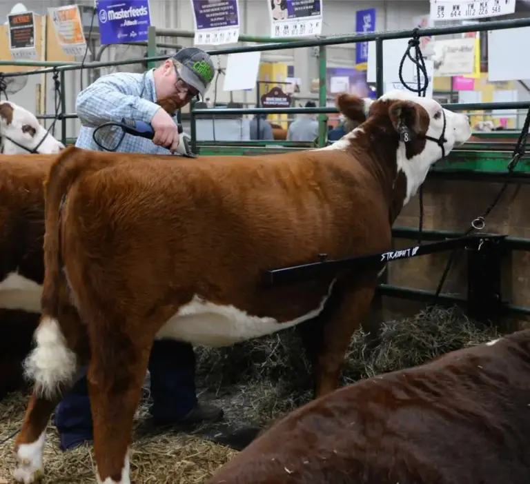 Straight Up Bars ( Set of 2) - Black - Image 2