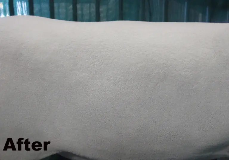 Sugar coat 32oz - image 5