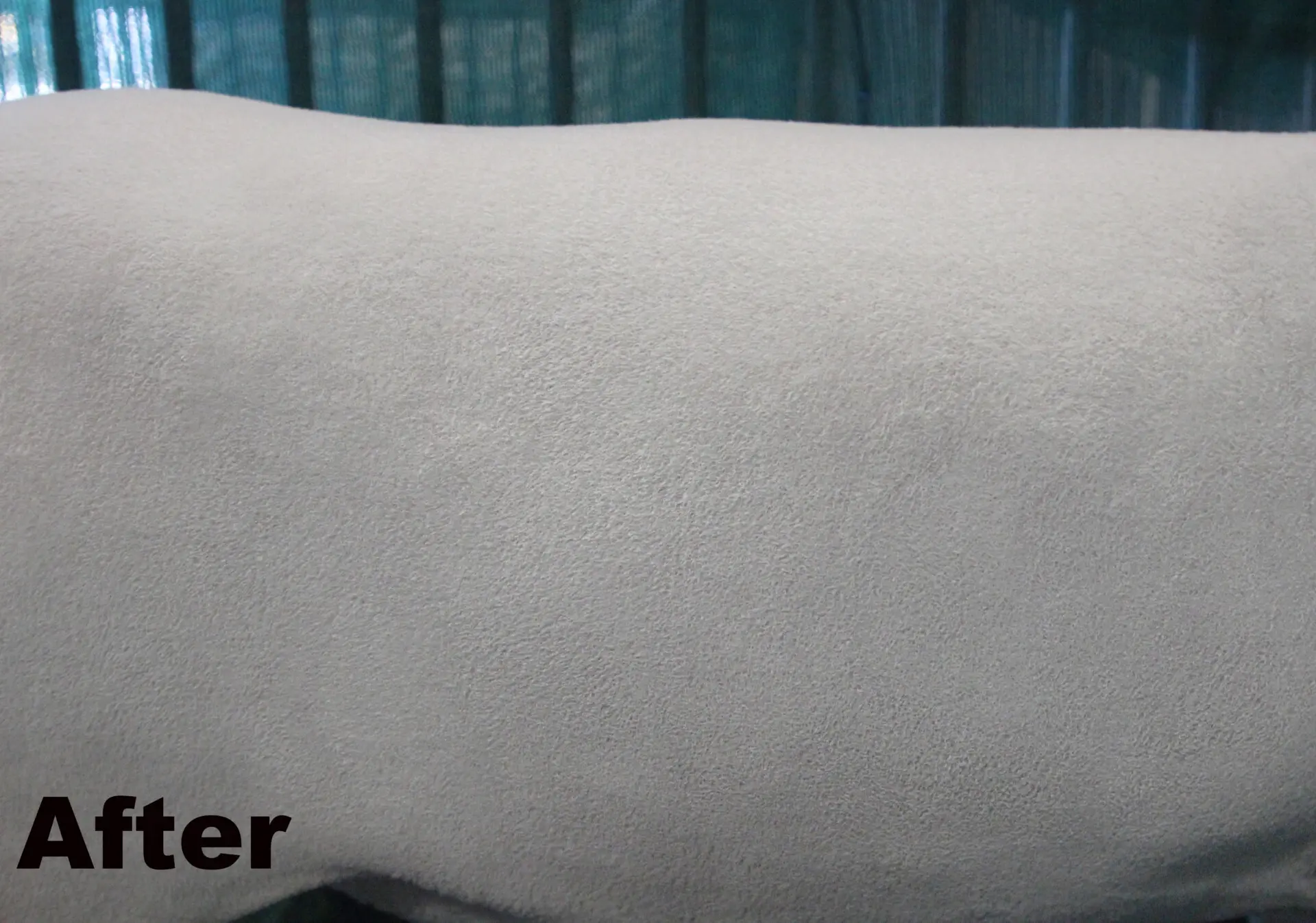 Sugar Coat 32oz - Image 5