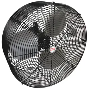 SHOWBARN FAN