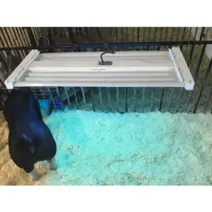 Insta-Tan Hog Tanning Lights