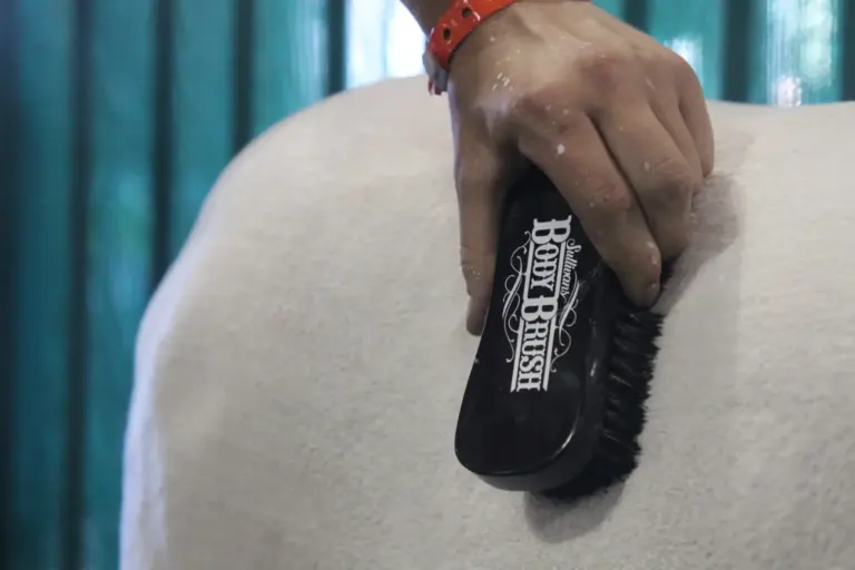 The body brush - image 3