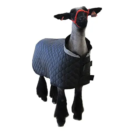 Thermal Sheep Blanket - Image 2