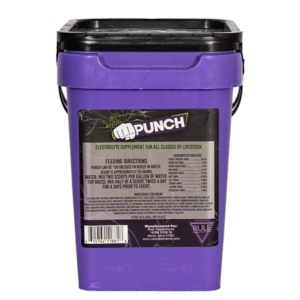 Wintex Punch 5lb by RULE