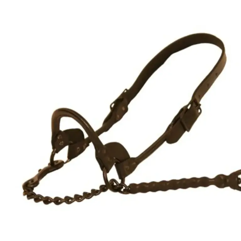 1St-Class Show Halter 2 1st-class show halter - image 2