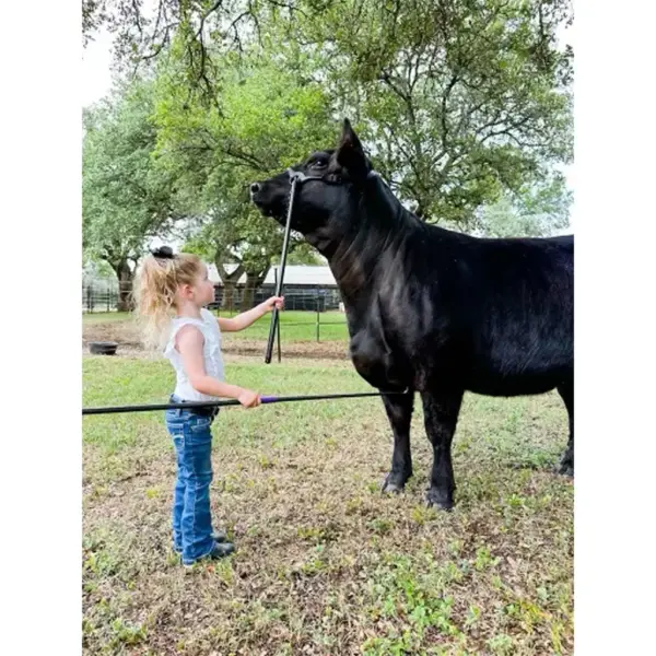 Heads-Up Show Lead - Black