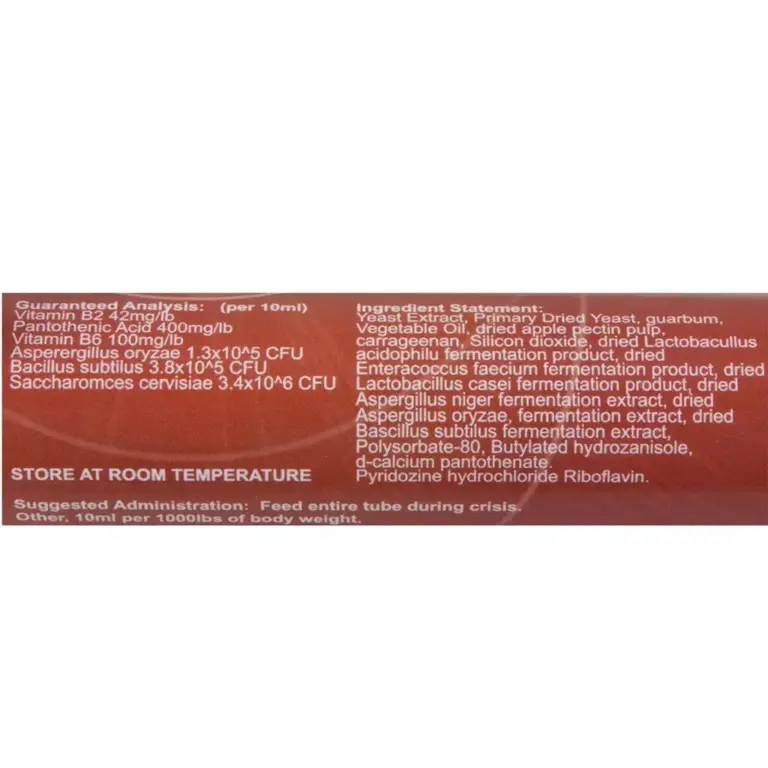 Immediate Response Paste - Image 2