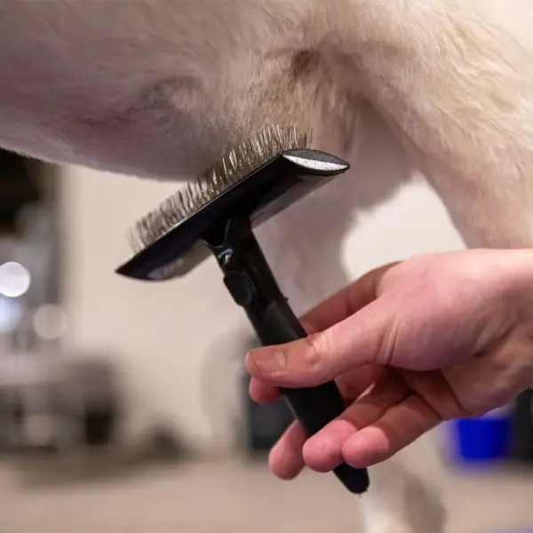 Sullivan's edge brushes