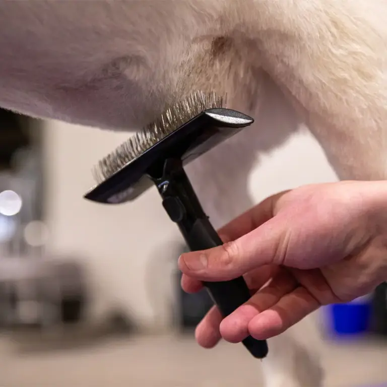 Sullivan's edge brushes - image 4