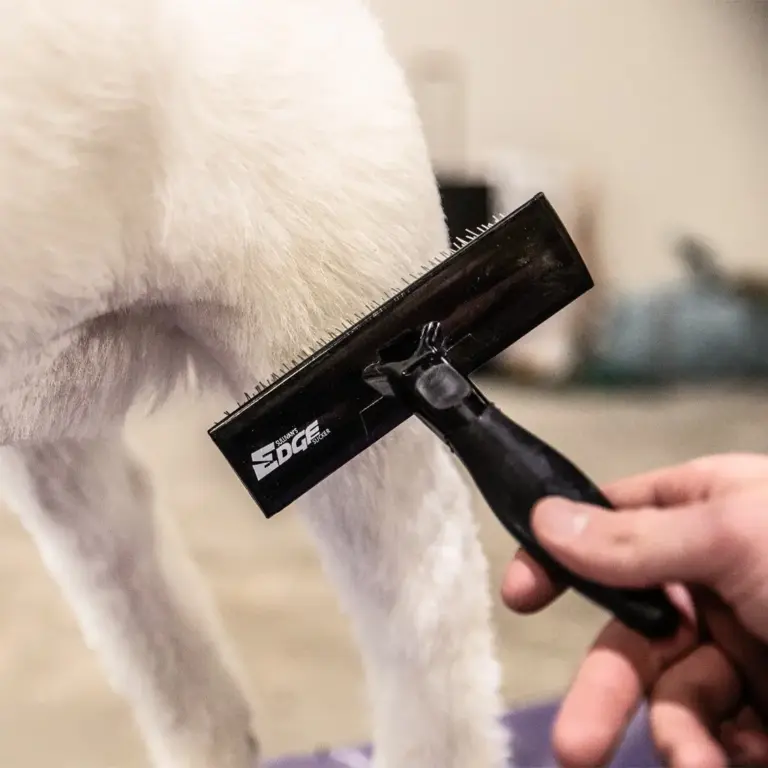 Sullivan's edge brushes - image 3