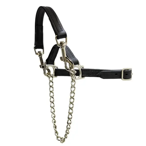 Showman's choice goat halter