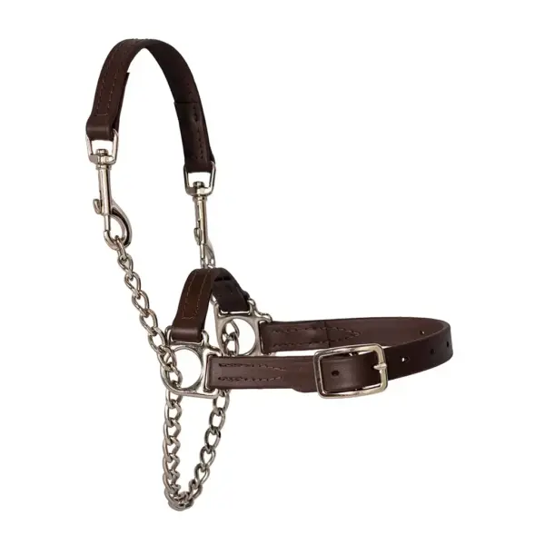 Showman's choice goat halter