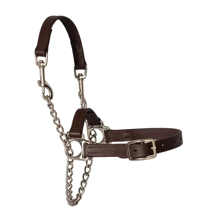 Showman's choice goat halter - image 2